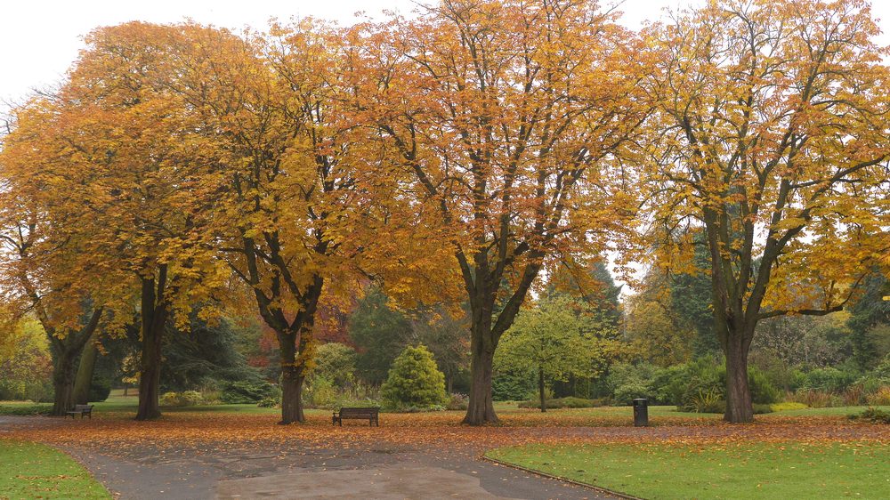Autumn colours in Cannon Hill Park, Birmingham