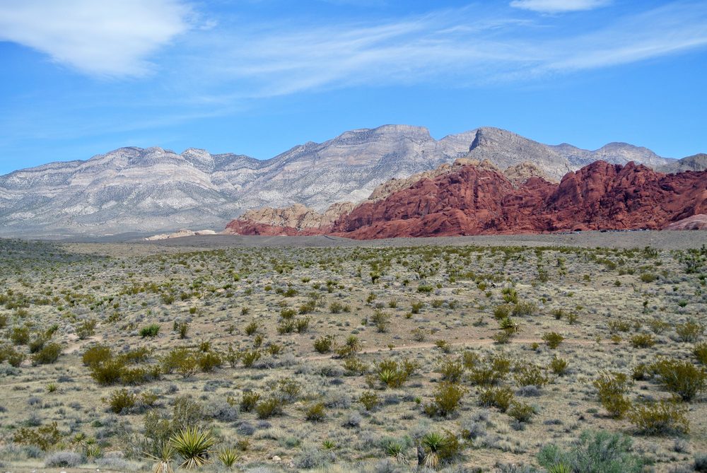 Red Rock Canyon National Conservation Area near Las Vegas