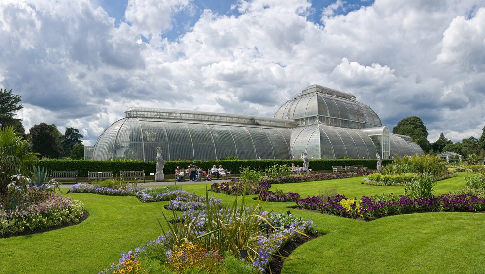 The Palm House at Kew Gardens
