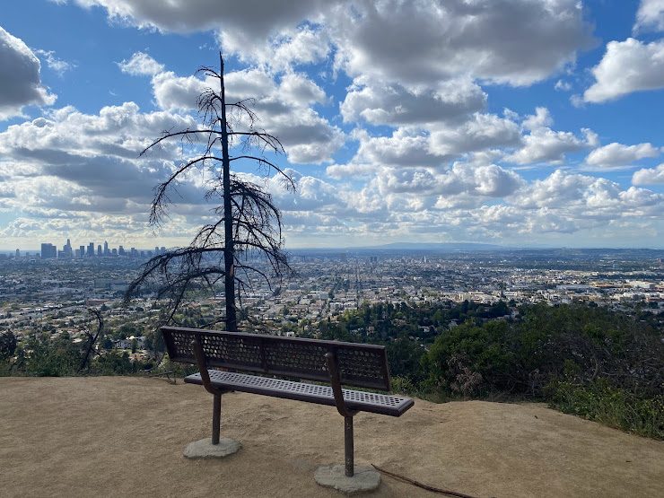A bench overlooking the Los Angeles skyline near Griffith Observatory
