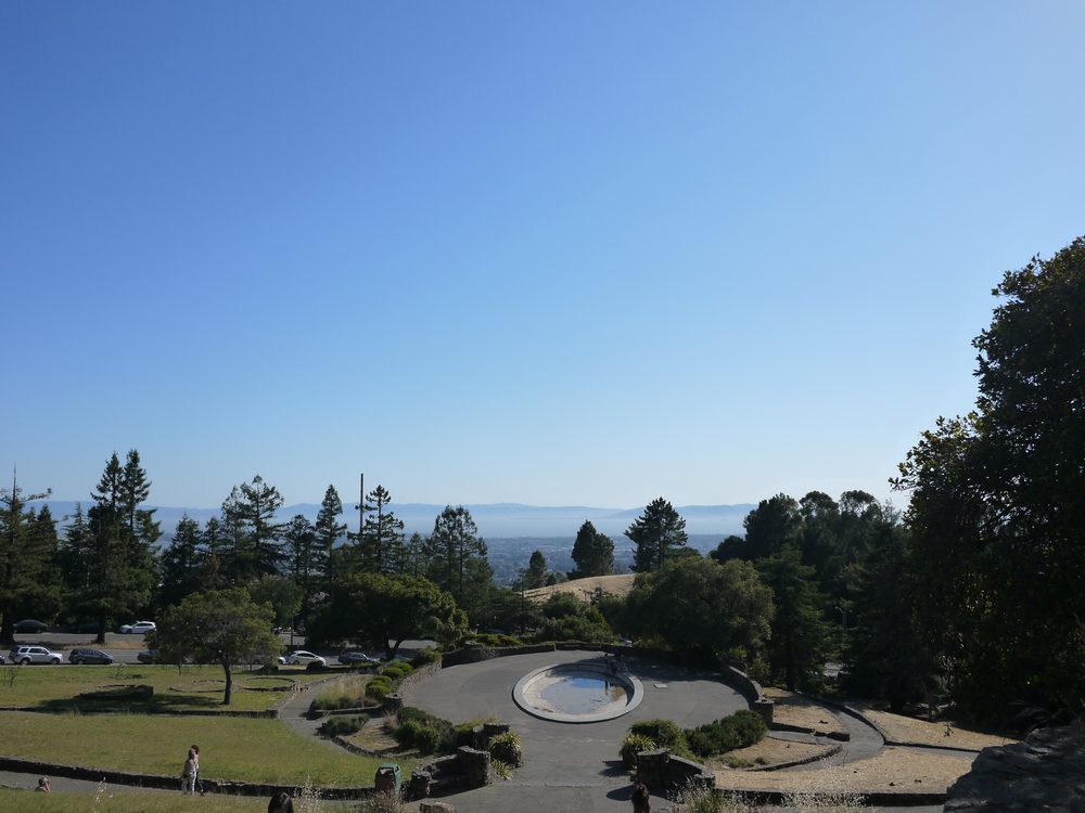 Redwood trails at Joaquin Miller Park in the Oakland Hills