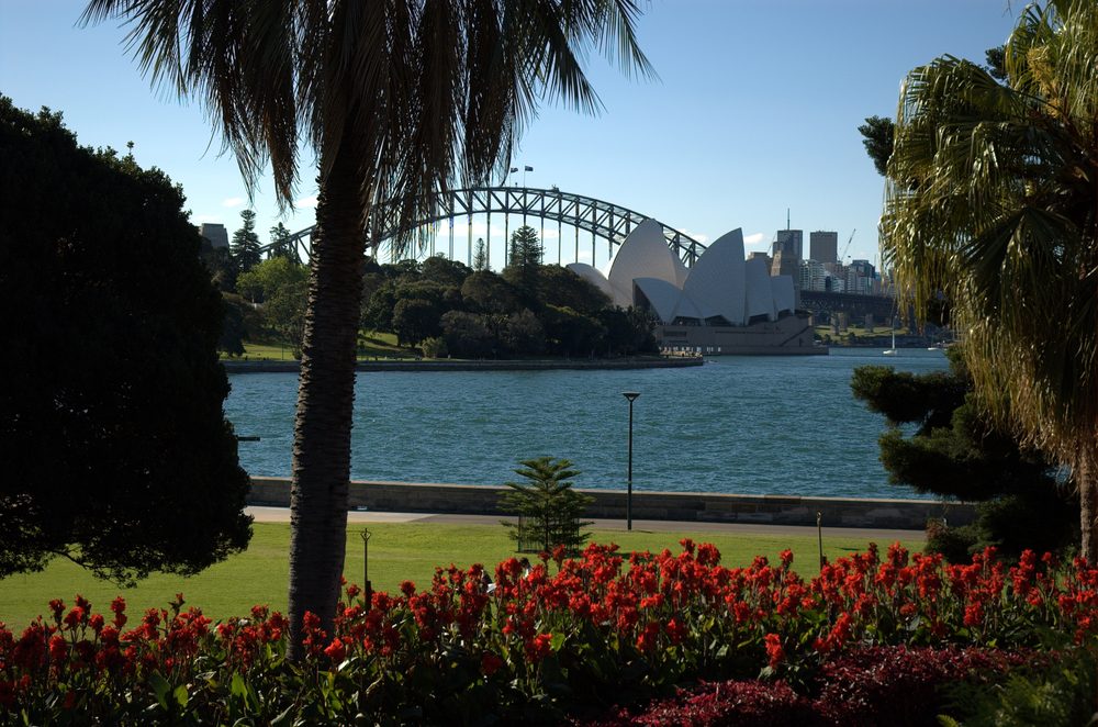 The Sydney Harbour Bridge and Opera House seen from the Royal Botanic Garden