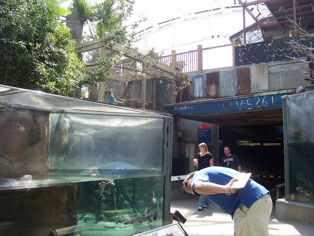 The Florida Aquarium in Tampa